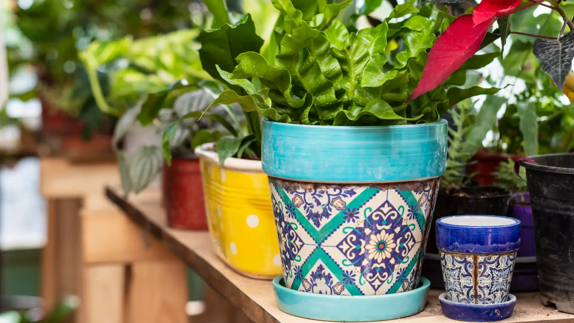 How to Make a Mosaic Flower Pot?